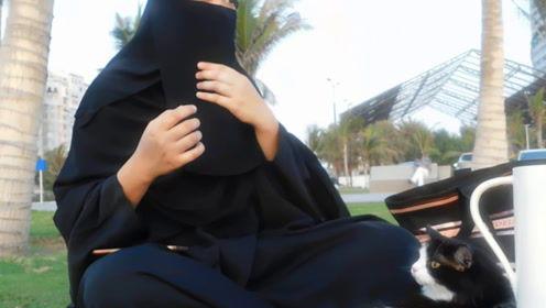 娱乐吃瓜君张扬,揭秘娱乐圈幕后故事